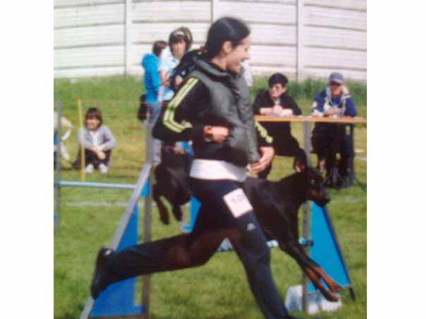 Viviana-La-Rocca-Addestratore-Cinofilo-Savona---Agility